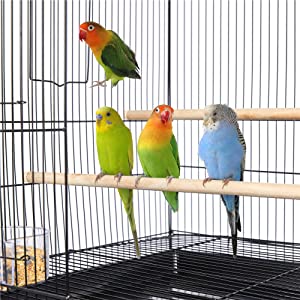 Flight Bird Cages