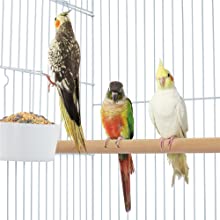 Open Top Rolling Parrot Bird Cage