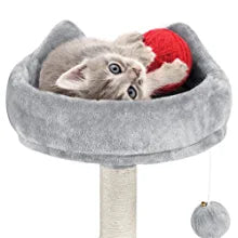 cat tree