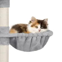 cat tree