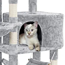 cat tree
