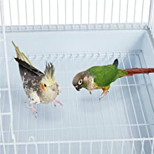 Open Top Rolling Parrot Bird Cage