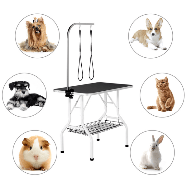 pet grooming table