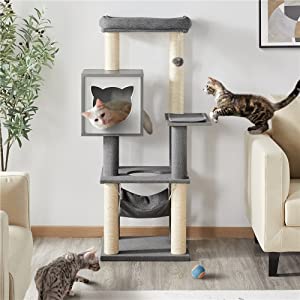 Cat Tree