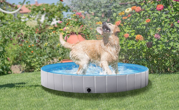 Yaheetech swimming dog pool