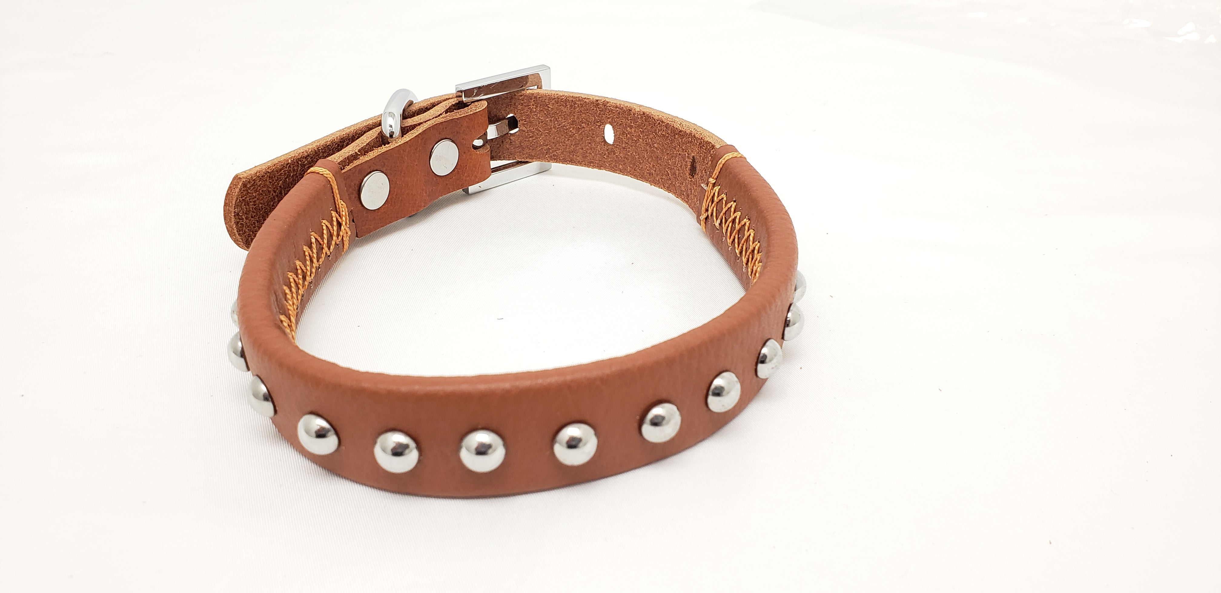 Leather Dog Collar with Single Line of Silver Chrome Buttons - Dark Brown - Small