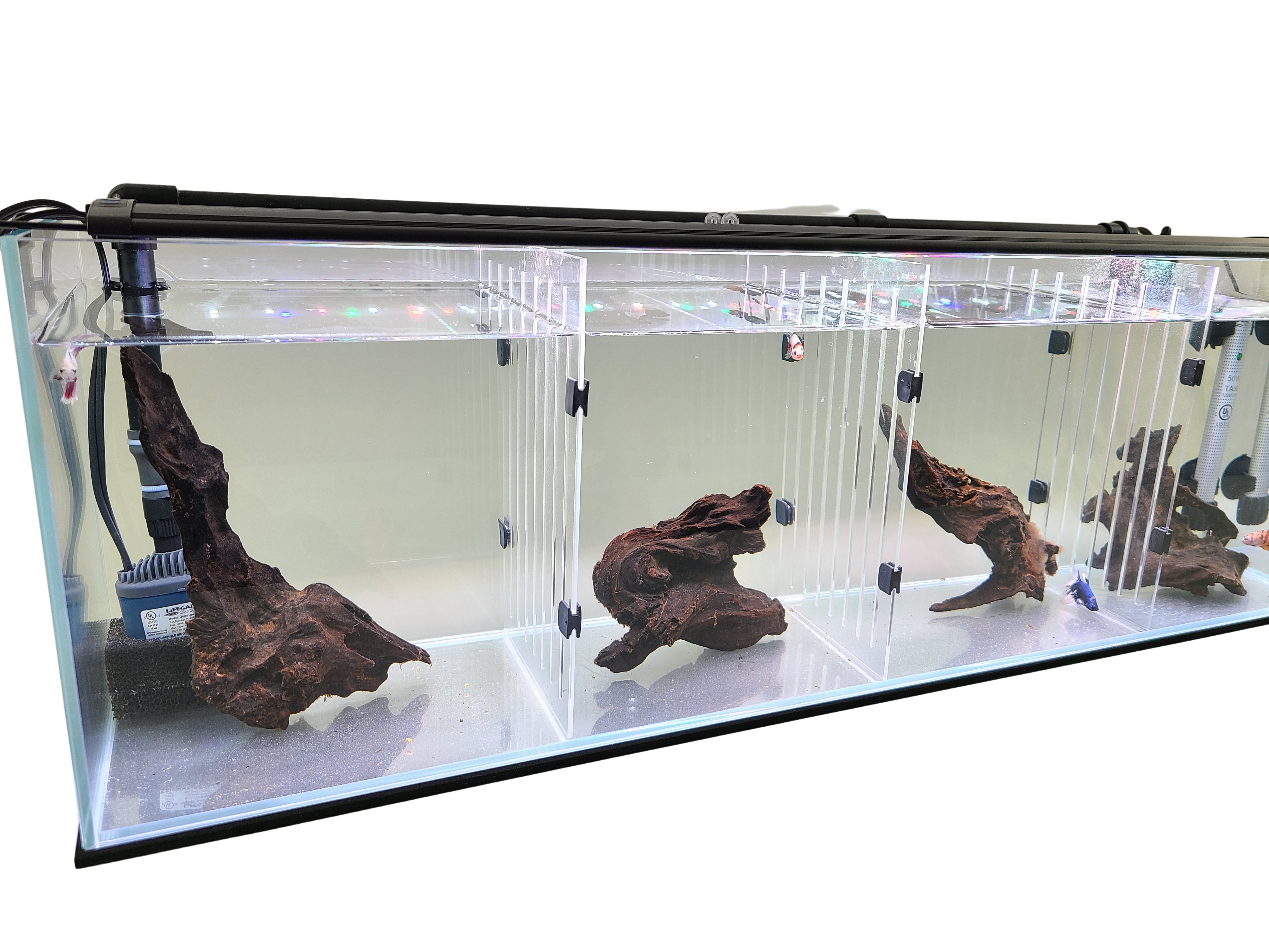 Acrylic Divider Plate for 6 Gallon Bookshelf Aquariums - BLACK