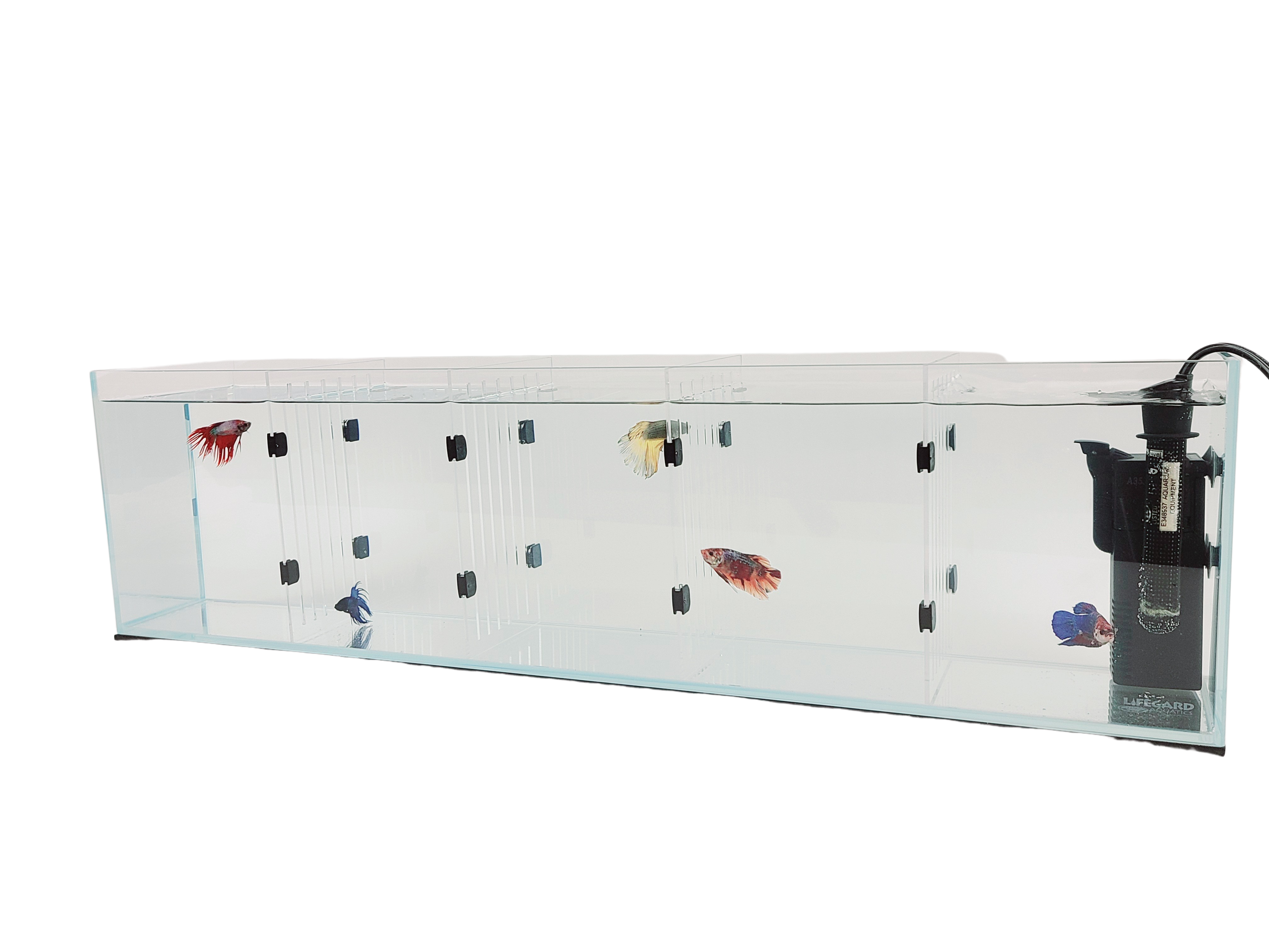 Acrylic Divider Plate for 22 Gallon Bookshelf Aquariums - CLEAR