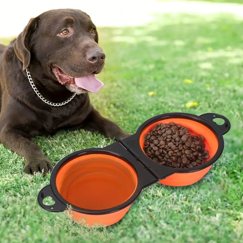 2-in-1 Collapsible Double Dog Bowl