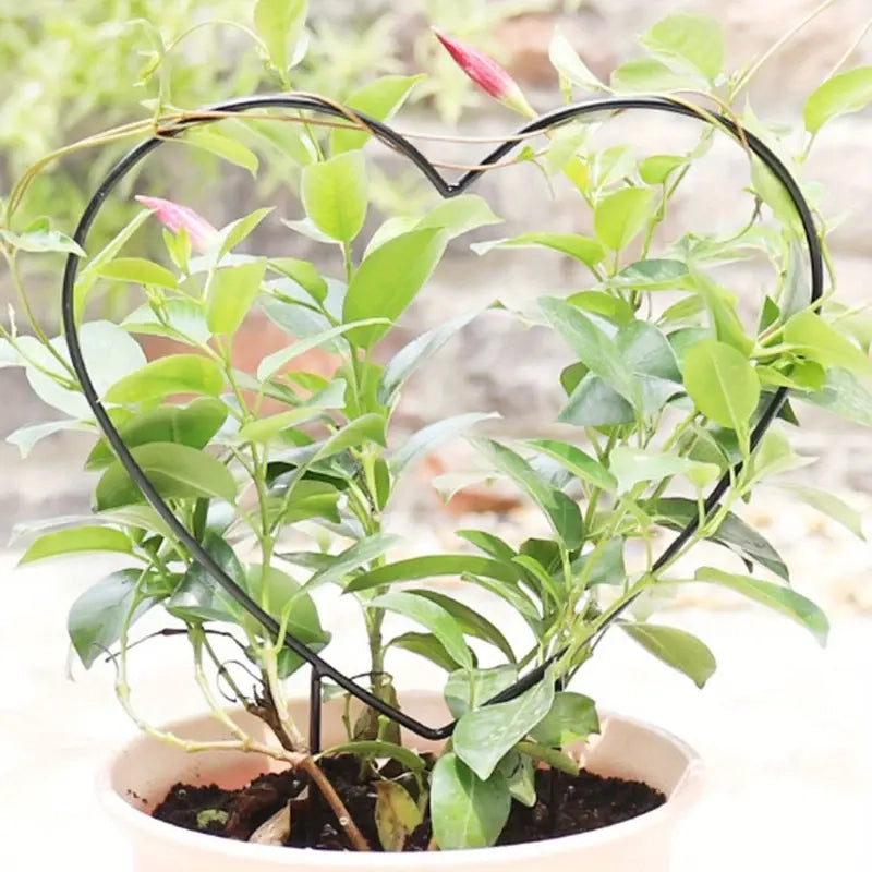 2-Pack: Heart-Shaped Plant Support Stake