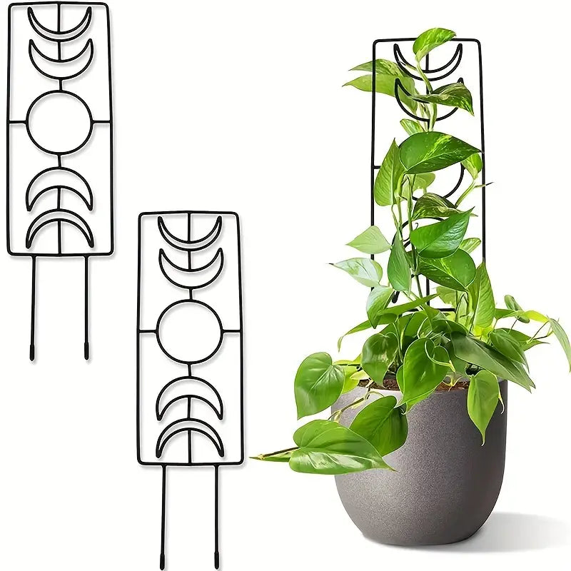 2-Pack: Metal Plant Trellis for Climbing Plants Indoor