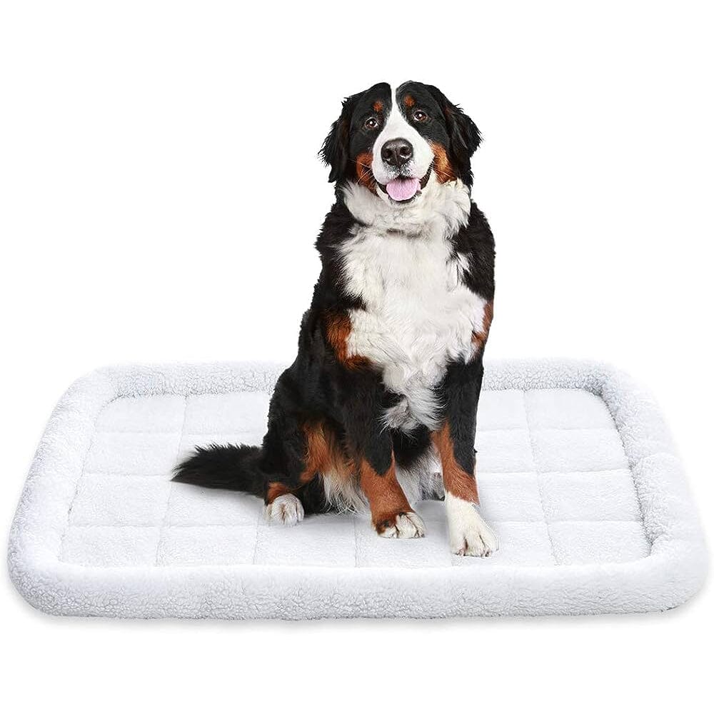 Amazon Basics Faux Sherpa Padded Bolster Pet Bed