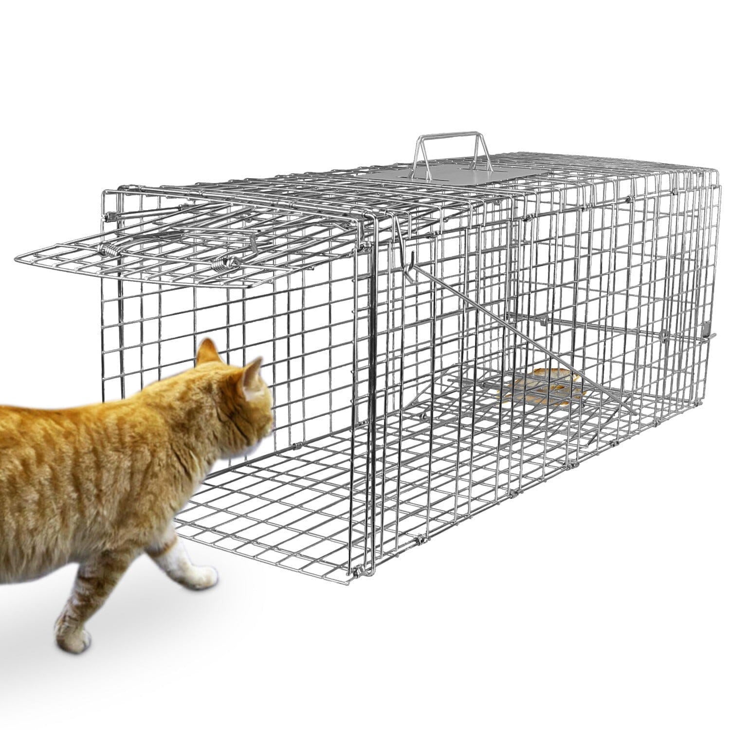 Humane Catch Release Live Animal Collapsible Galvanized Wire Trap Cage