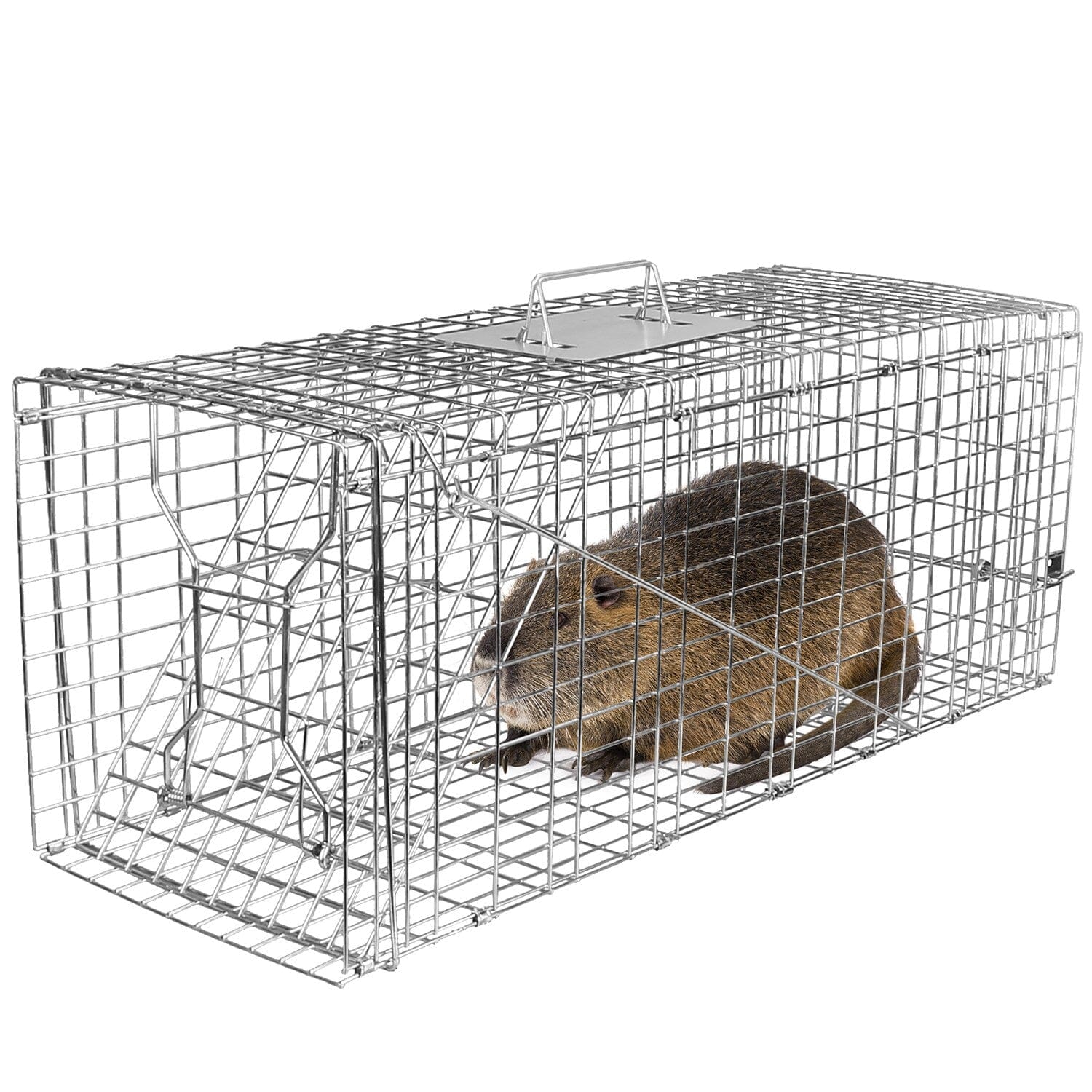 Humane Catch Release Live Animal Collapsible Galvanized Wire Trap Cage