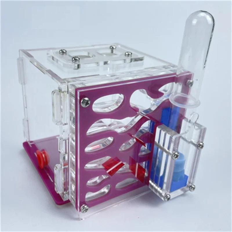 Ant Nest Acrylic Cube Side Water Tower Educational Workshop