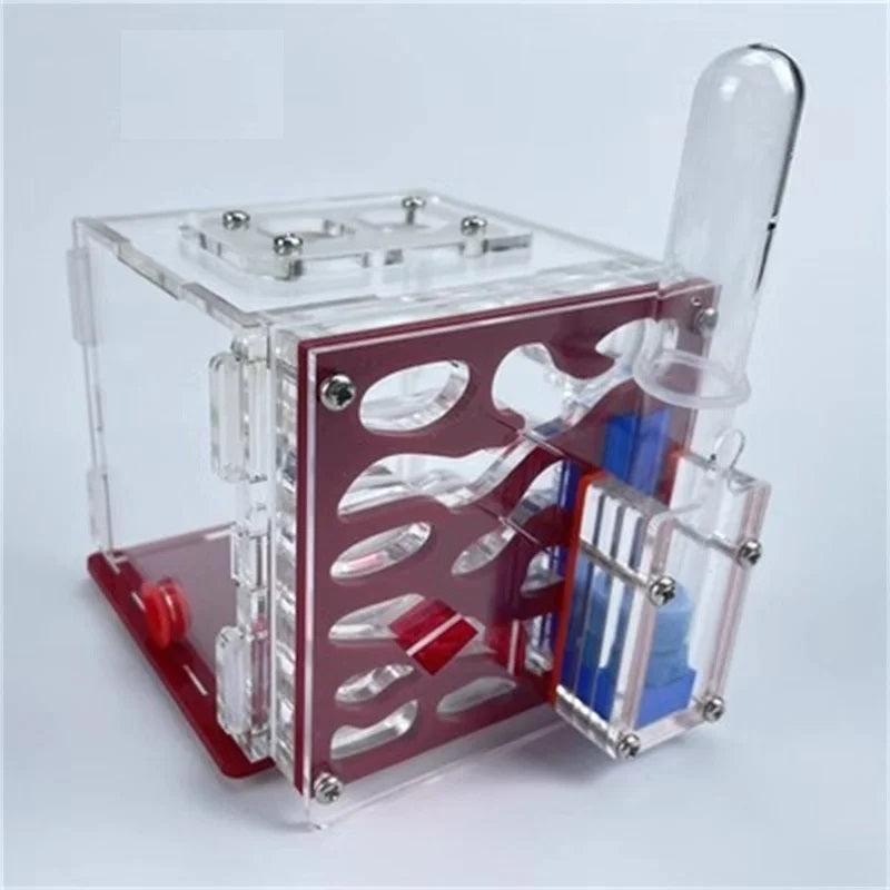 Ant Nest Acrylic Cube Side Water Tower Educational Workshop