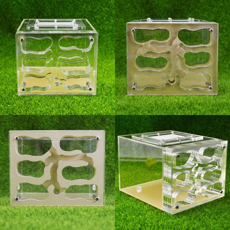 Acrylic Mixed Ant Nest Transparent Square Hill Workshop