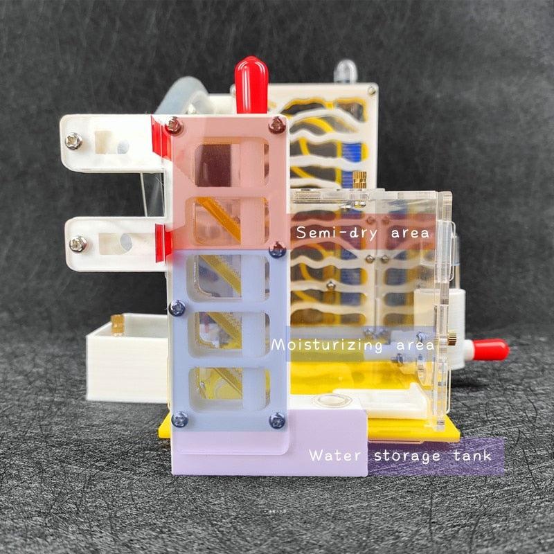 Ant Farm 3D Acrylic Feeding Moisturizing Tower Workshop