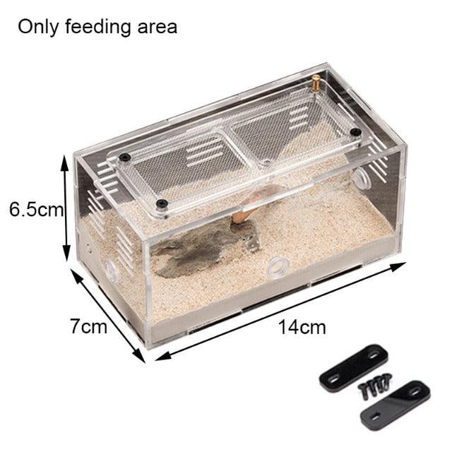 Ant Farm Concrete House Flat Water Tower Expansion Ants Nest