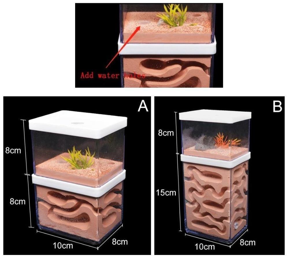 Ecological Big Ant Nest Large Plaster Ant Castle Feeding Area