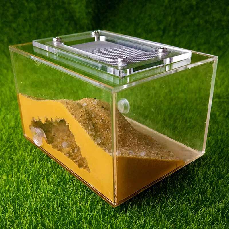 Mini Imitation Ecological Plaster Ant Nest Castle Workshop