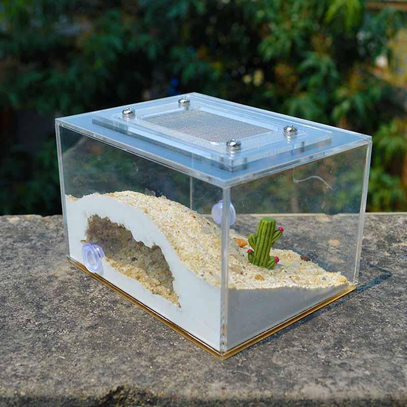 Mini Imitation Ecological Plaster Ant Nest Castle Workshop