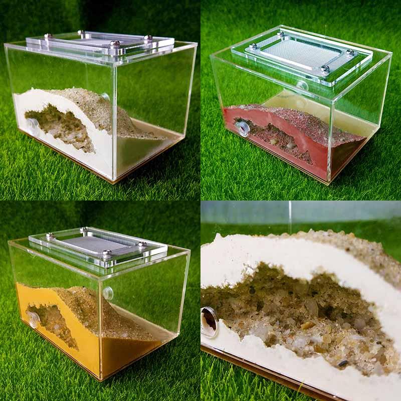 Mini Imitation Ecological Plaster Ant Nest Castle Workshop