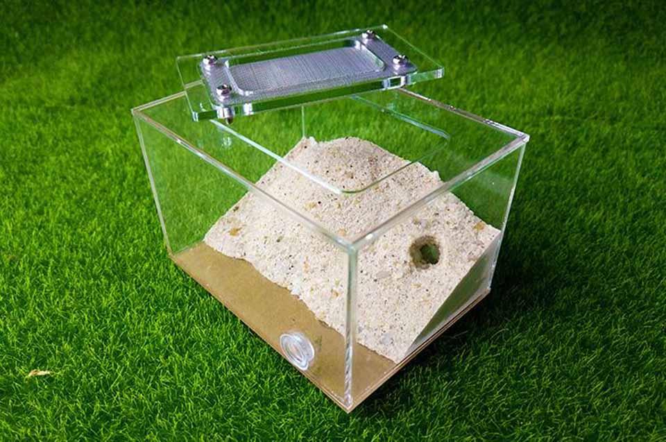 Mini Imitation Ecological Plaster Ant Nest Castle Workshop