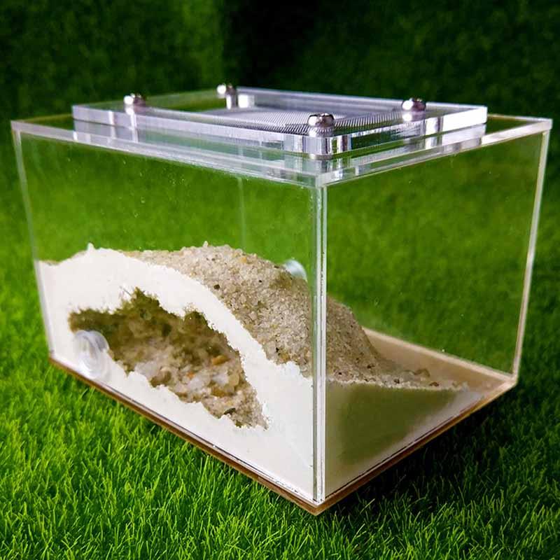 Mini Imitation Ecological Plaster Ant Nest Castle Workshop