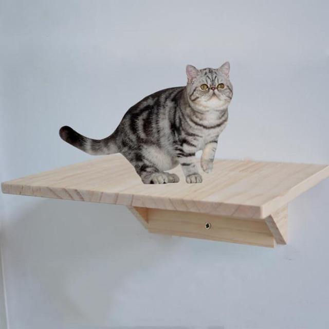 Wall Mounted Cat Jumping Platform DIY