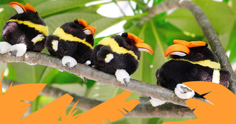 Cartoon Great Hornbill Stuffed Animal Plush Toy