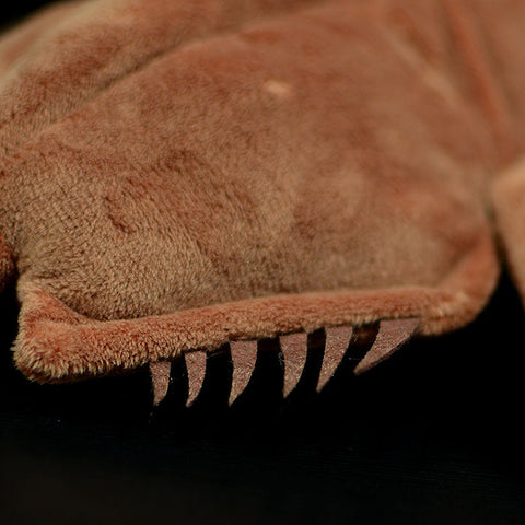 Realistic Tachypleus Tridentatus Stuffed Animal Plush Toy