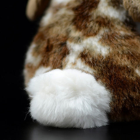 Lop Rabbit
