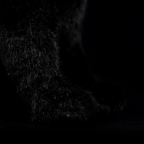 Realistic Black Cat Stuffed Animal Plush Toy