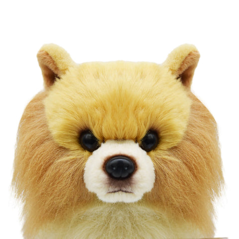 Realistic Pomeranian Dog Stuffed Animal Plush Toy