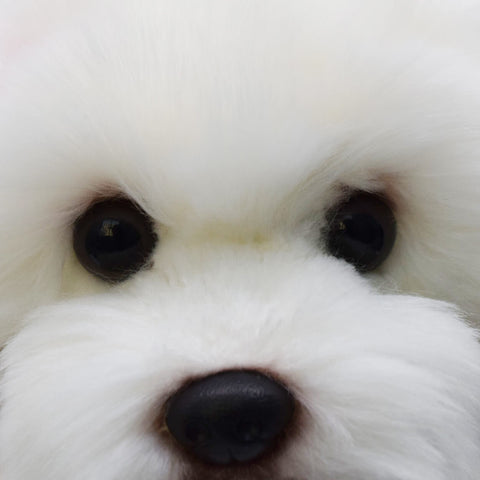 Realistic Maltese Dog Stuffed Animal Plush Toy