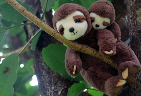 Adorable Sloth Stuffed Animal Plush Toys