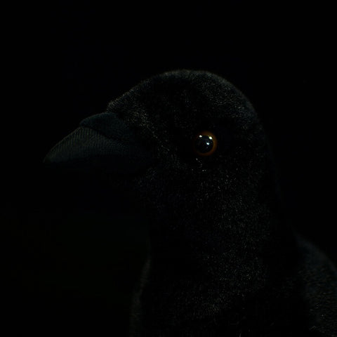 Realistic Large-Billed Crow Stuffed Animal Plush Toy