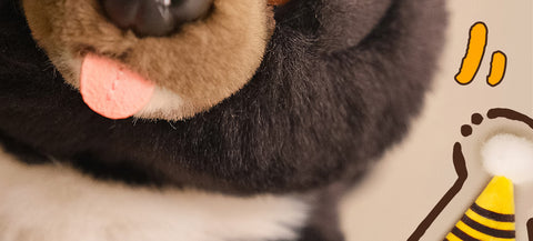 Cute Asian Black Bear Stuffed Plush Slap Bracelet, Bear Plushies