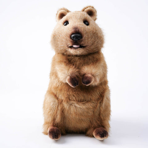Cute Quokka Stuffed Animal Plush Toy, Australian Animal Plushies