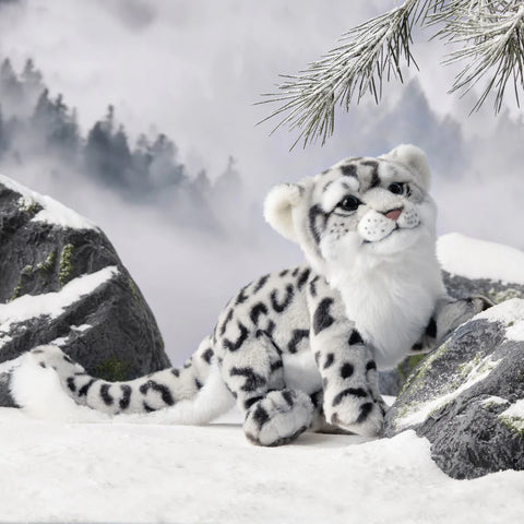 World Snow Leopard Day, you should know these knowledge about snow leopards