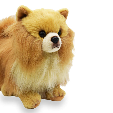 Realistic Pomeranian Dog Stuffed Animal Plush Toy