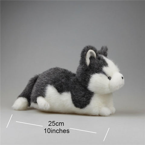 Cute Husky Dog Stuffed Animal Plush Toys