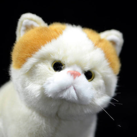 Realistic Exotic Shorthair Cat Stuffed Animal Plush Toy