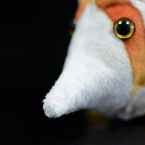 Realistic Copperband Butterflyfish Stuffed Animal Plush Toy