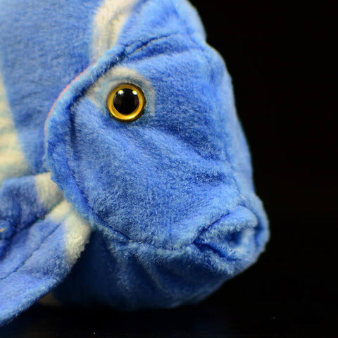 Realistic Blue Caribbean Tang Stuffed Animal Plush Toy