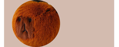 Cool Capybara Stuffed Plush Toy, Animal Plushies