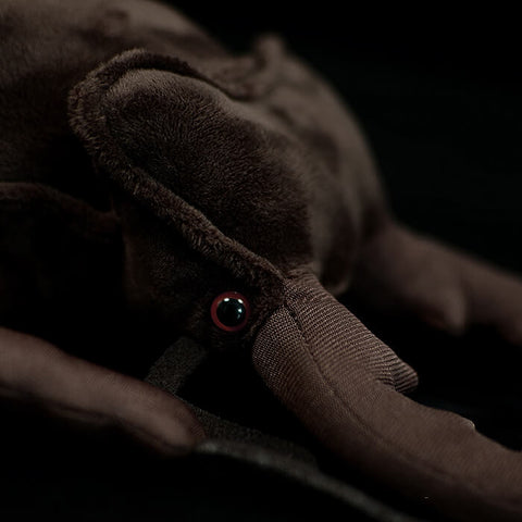 Realistic Stag Beetle Stuffed Animal Plush Toy