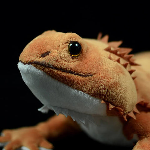 Realistic Central Bearded Dragon Stuffed Animal Plush Toy