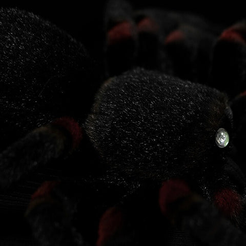 Tarantula Stuffed Animal